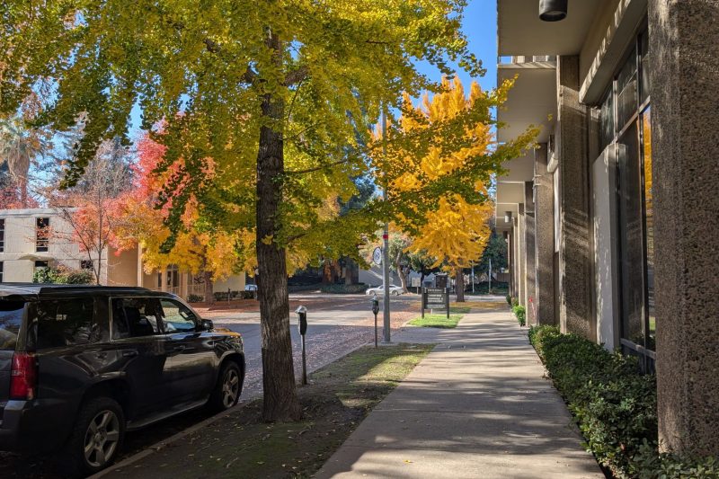 Sympli Mortgage of North Carolina 22 A sunlit urban sidewalk lined with vibrant autumn trees and 1787677299